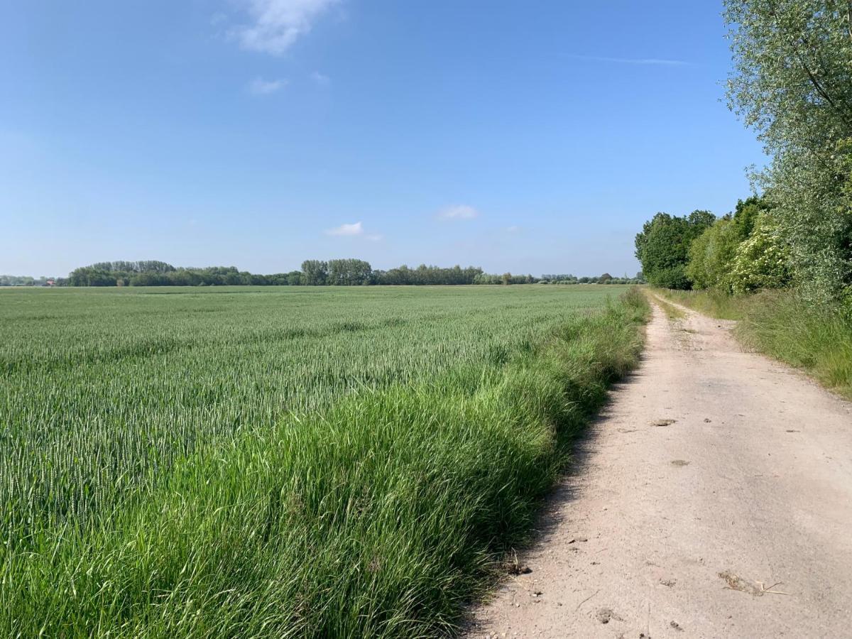 De Scheure, Charmant Vakantiehuisje Midden In De Natuur Alveringem Exterior photo
